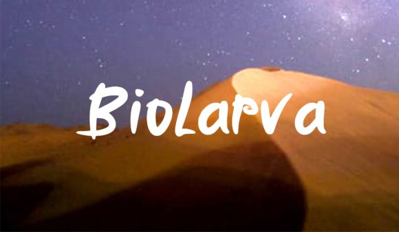 Biolarfa: A Natural Display Font for Creative Branding Projects