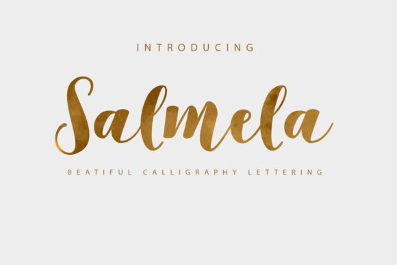 How Salmela Brought Elegance to My Lifestyle Blog Redesign