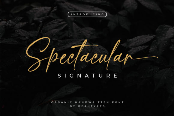 Spectacular Signature: A Handwritten Font with Editorial Grace